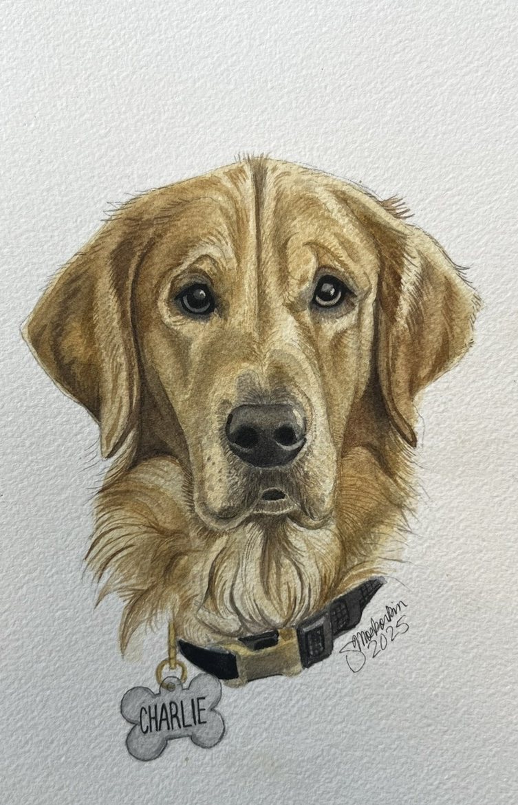 Charlie, watercolor pet portrait